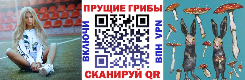Галлюциногенные грибы Psilocybine cubensis  Нахабино 